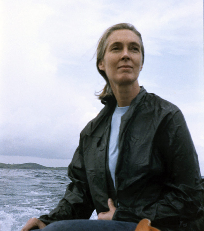 The 2021 Templeton Prize is awarded to Dr. Jane Goodall! | Kyoto Prize